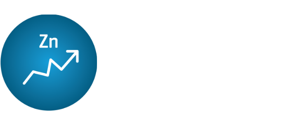 Zn element icon